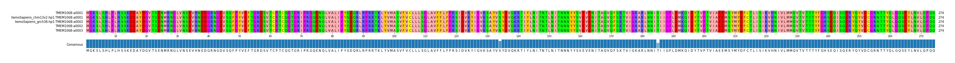 Multiple Alignments (by translate haplotype similarity)