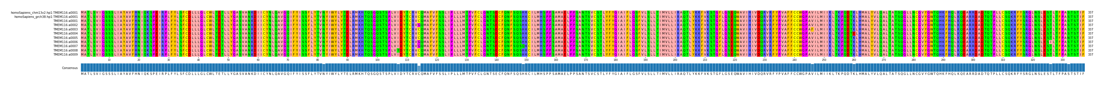 Multiple Alignments (by translate haplotype frequency)