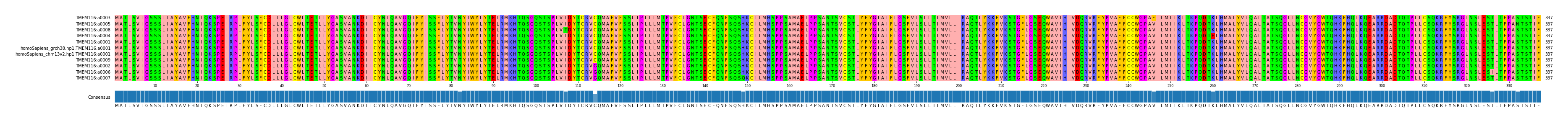 Multiple Alignments (by translate haplotype similarity)