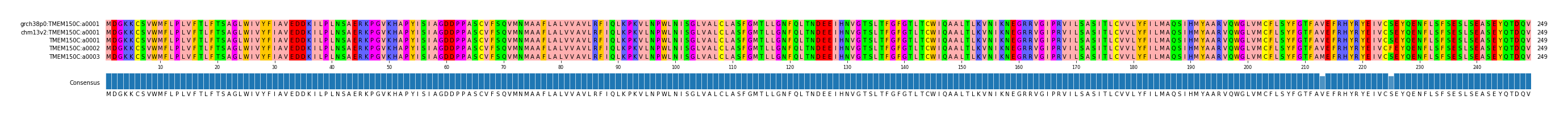 Multiple Alignments (by translate haplotype frequency)