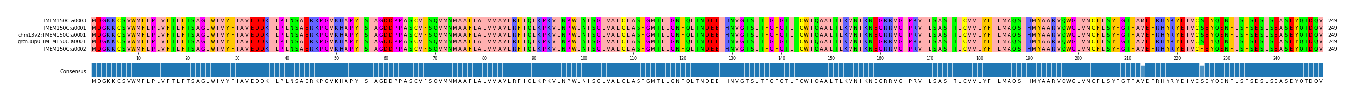 Multiple Alignments (by translate haplotype similarity)