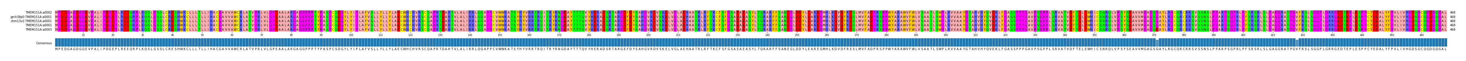 Multiple Alignments (by translate haplotype similarity)