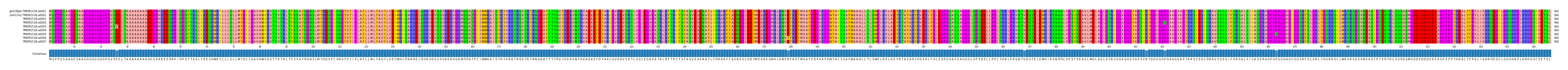 Multiple Alignments (by translate haplotype frequency)