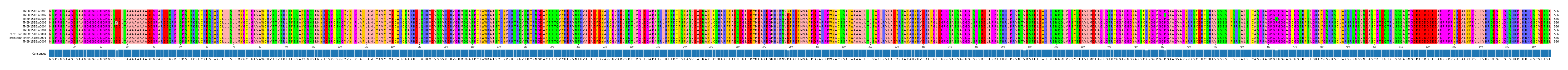Multiple Alignments (by translate haplotype similarity)