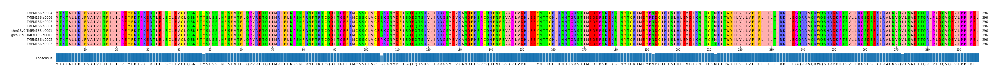 Multiple Alignments (by translate haplotype similarity)
