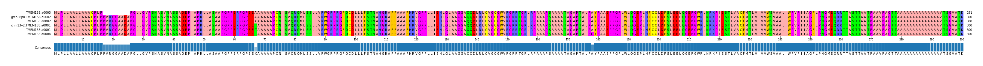Multiple Alignments (by translate haplotype similarity)