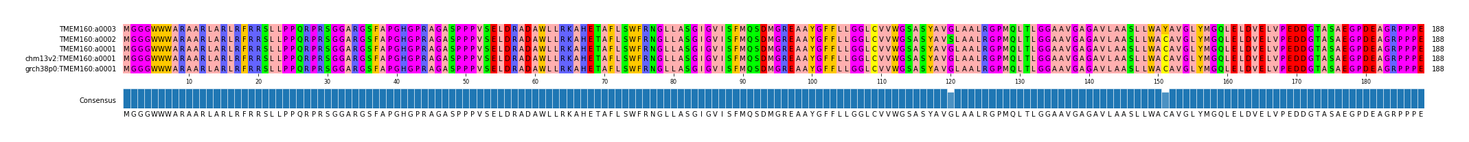 Multiple Alignments (by translate haplotype similarity)