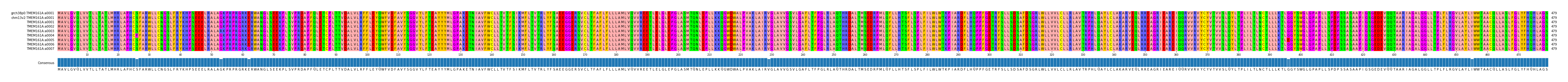 Multiple Alignments (by translate haplotype frequency)