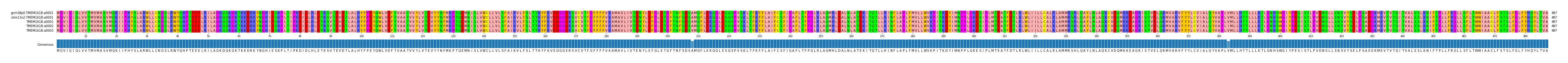 Multiple Alignments (by translate haplotype frequency)