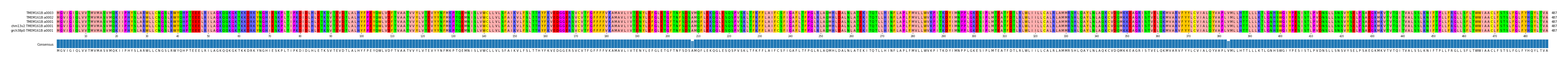 Multiple Alignments (by translate haplotype similarity)