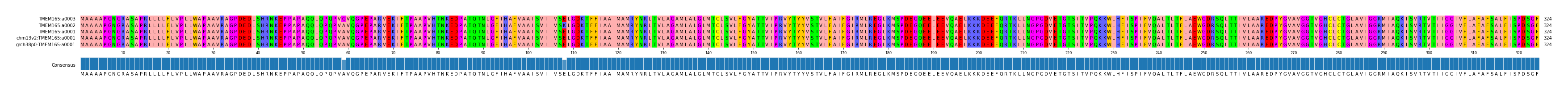 Multiple Alignments (by translate haplotype similarity)