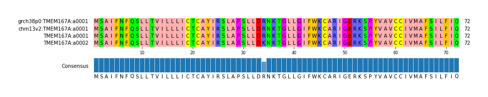 Multiple Alignments (by translate haplotype similarity)
