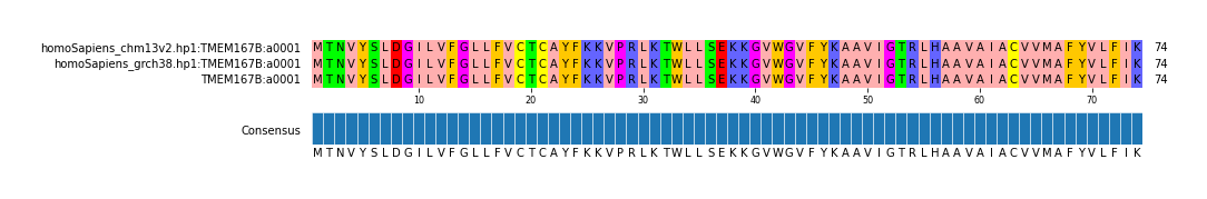 Multiple Alignments (by translate haplotype similarity)