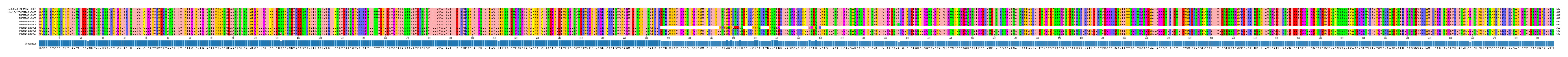 Multiple Alignments (by translate haplotype frequency)