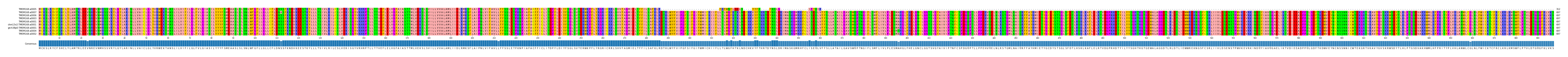 Multiple Alignments (by translate haplotype similarity)