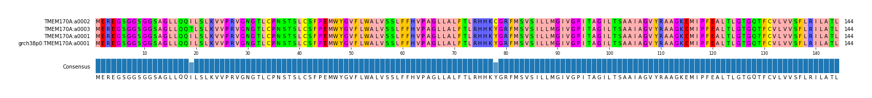 Multiple Alignments (by translate haplotype similarity)
