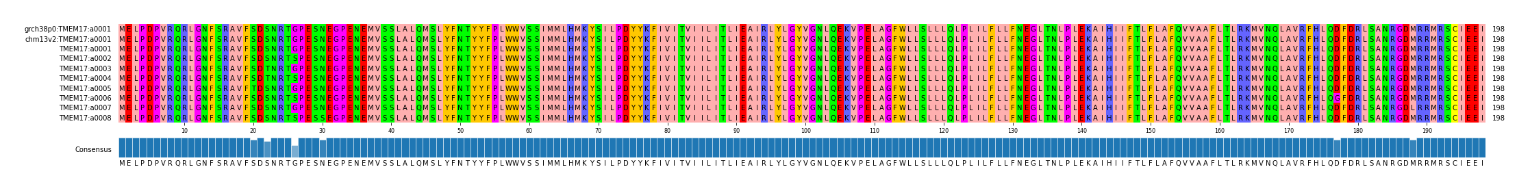 Multiple Alignments (by translate haplotype frequency)
