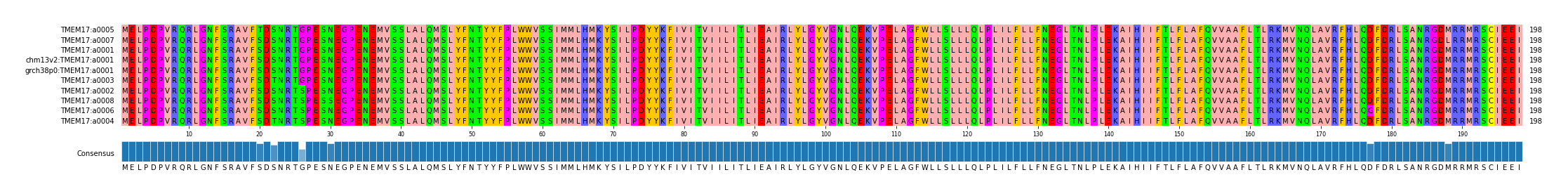 Multiple Alignments (by translate haplotype similarity)