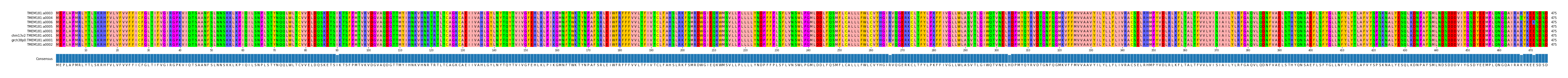 Multiple Alignments (by translate haplotype similarity)