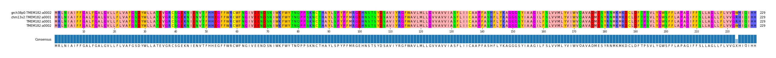 Multiple Alignments (by translate haplotype frequency)