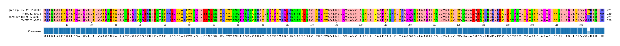 Multiple Alignments (by translate haplotype similarity)