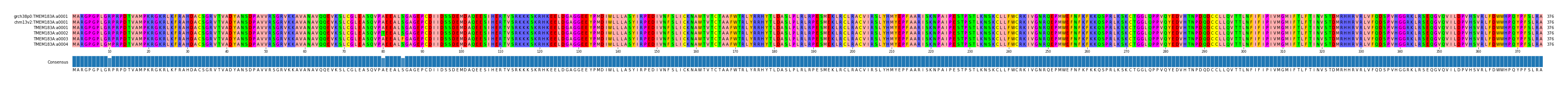Multiple Alignments (by translate haplotype frequency)