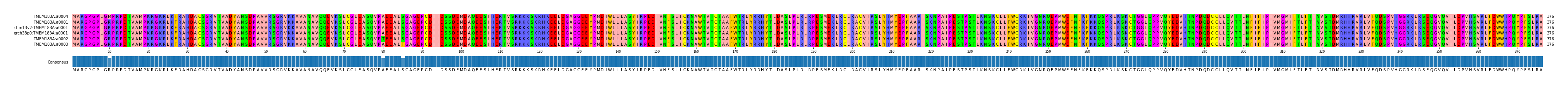 Multiple Alignments (by translate haplotype similarity)