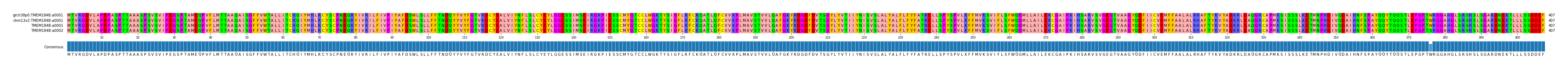 Multiple Alignments (by translate haplotype similarity)