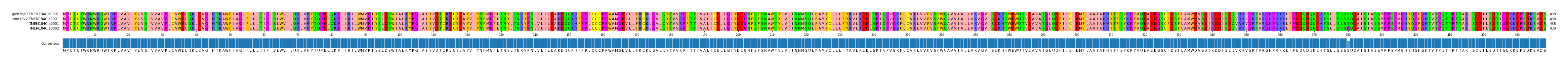 Multiple Alignments (by translate haplotype similarity)