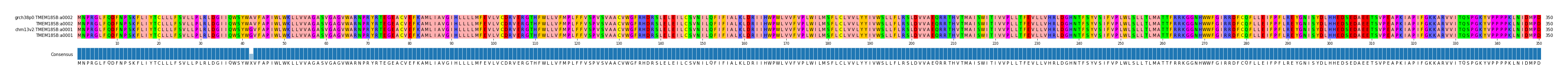 Multiple Alignments (by translate haplotype similarity)