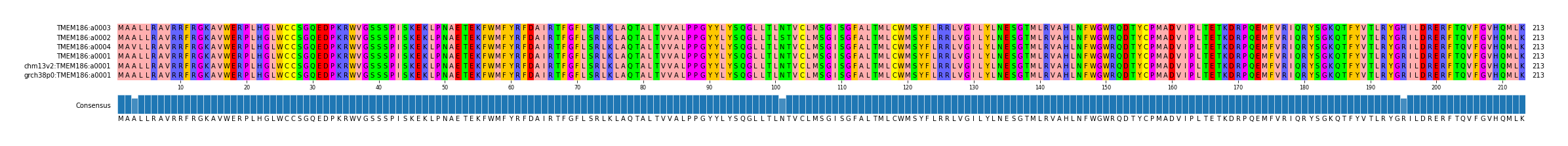 Multiple Alignments (by translate haplotype similarity)