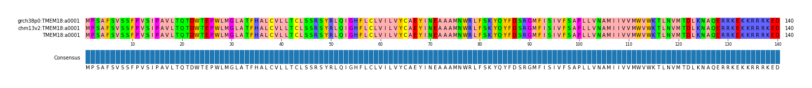 Multiple Alignments (by translate haplotype similarity)