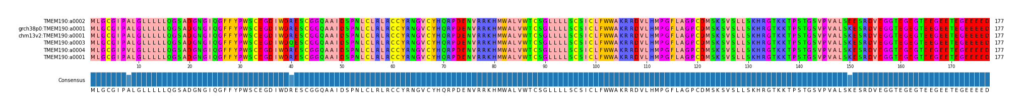 Multiple Alignments (by translate haplotype similarity)
