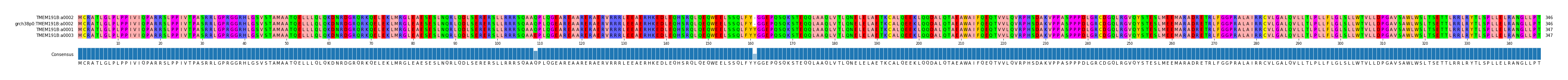 Multiple Alignments (by translate haplotype similarity)