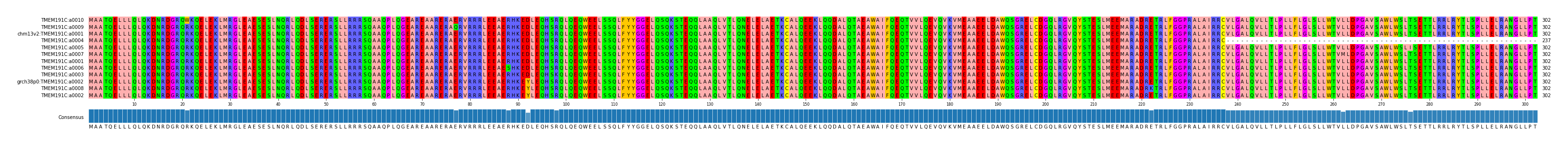 Multiple Alignments (by translate haplotype similarity)