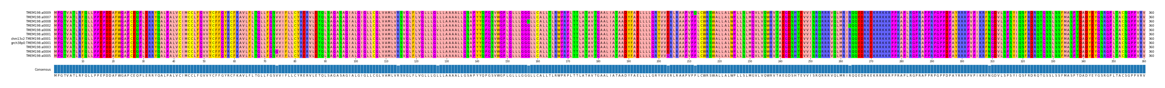 Multiple Alignments (by translate haplotype similarity)