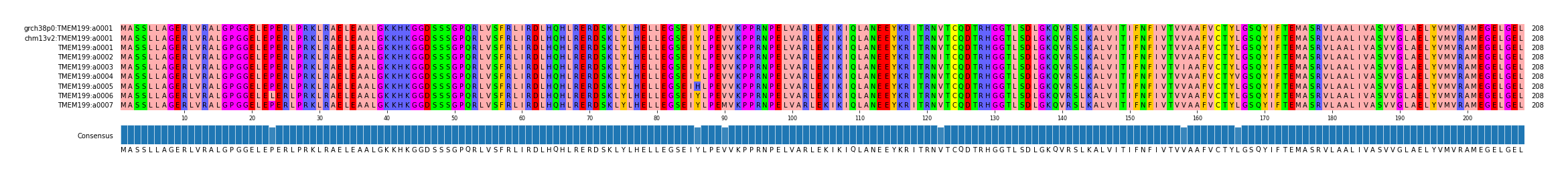 Multiple Alignments (by translate haplotype frequency)