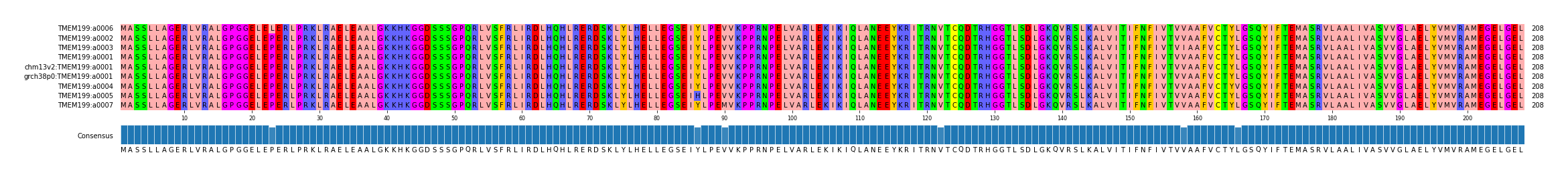 Multiple Alignments (by translate haplotype similarity)
