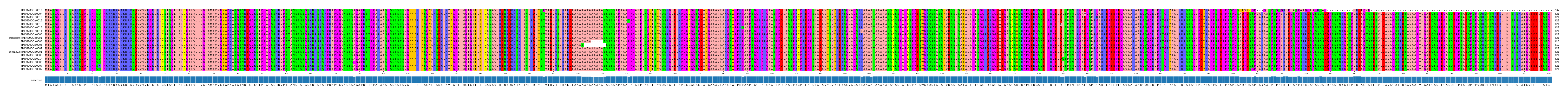 Multiple Alignments (by translate haplotype similarity)
