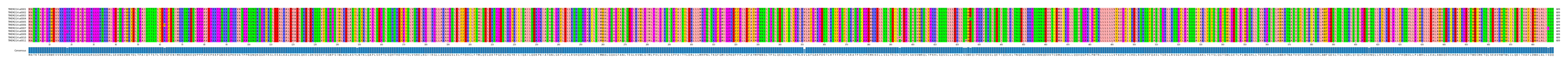 Multiple Alignments (by translate haplotype frequency)
