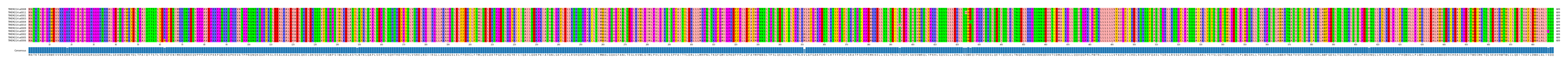 Multiple Alignments (by translate haplotype similarity)