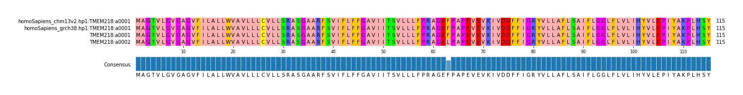 Multiple Alignments (by translate haplotype similarity)