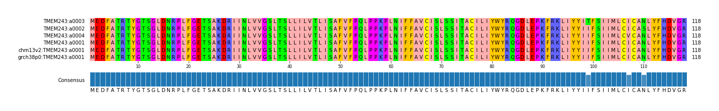 Multiple Alignments (by translate haplotype similarity)