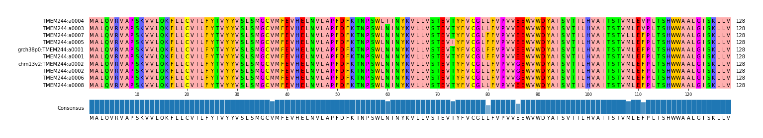 Multiple Alignments (by translate haplotype similarity)
