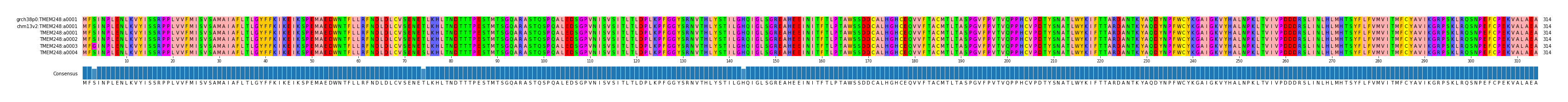 Multiple Alignments (by translate haplotype frequency)