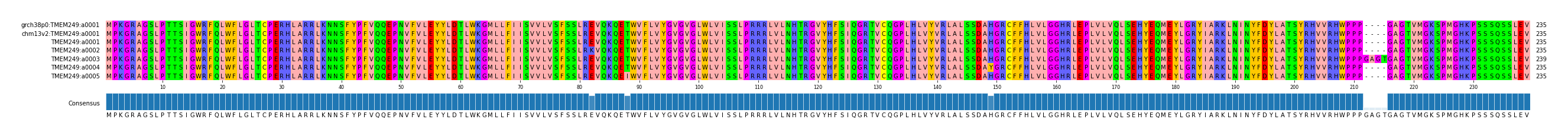Multiple Alignments (by translate haplotype frequency)