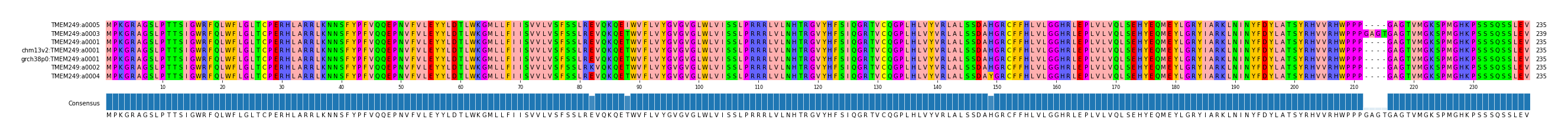 Multiple Alignments (by translate haplotype similarity)