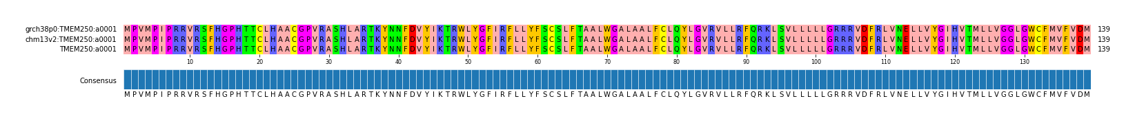 Multiple Alignments (by translate haplotype similarity)