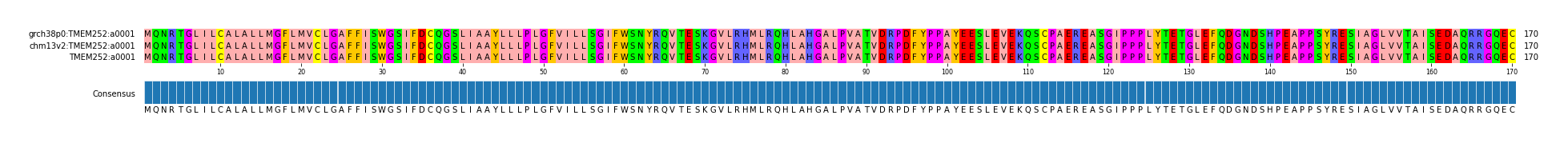 Multiple Alignments (by translate haplotype similarity)