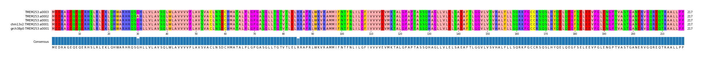 Multiple Alignments (by translate haplotype similarity)